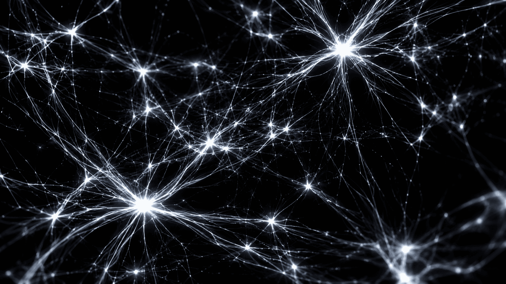 Neural network filaments